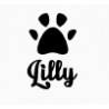 Lilly Pet Shop